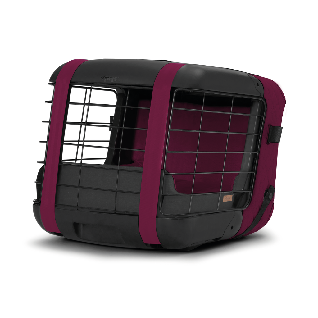 Caree «Dry Rose» Special Edition