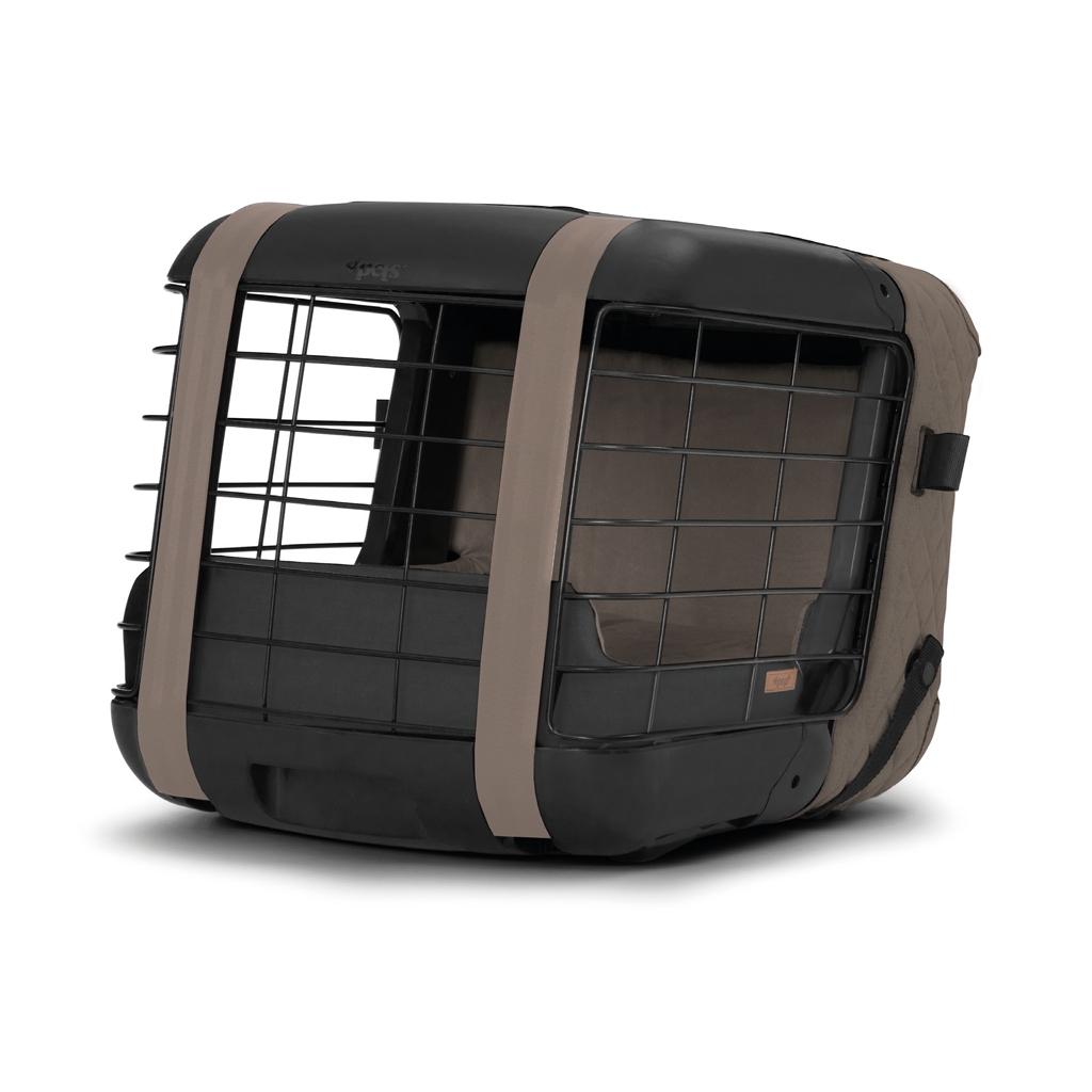 Caree «Mocha Meringue» Special Edition