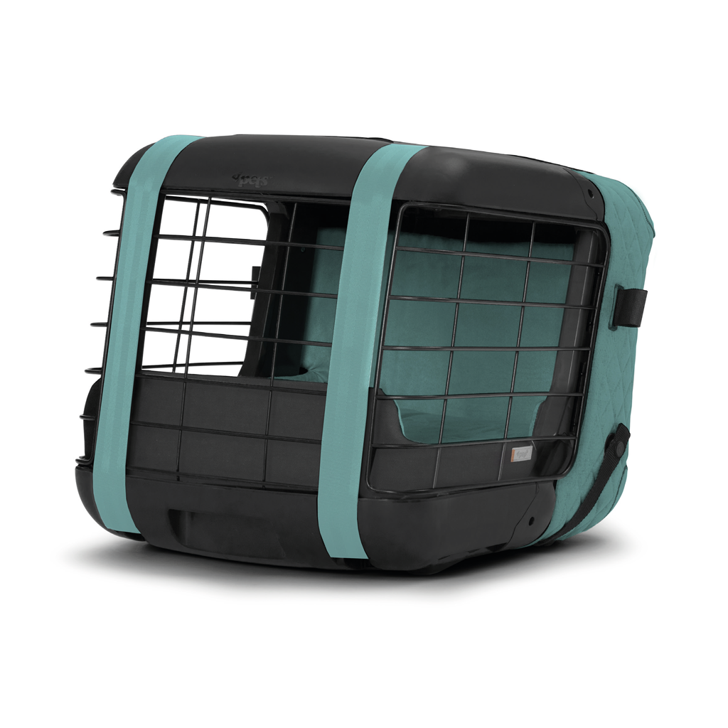 Caree «Pool Blue» Special Edition