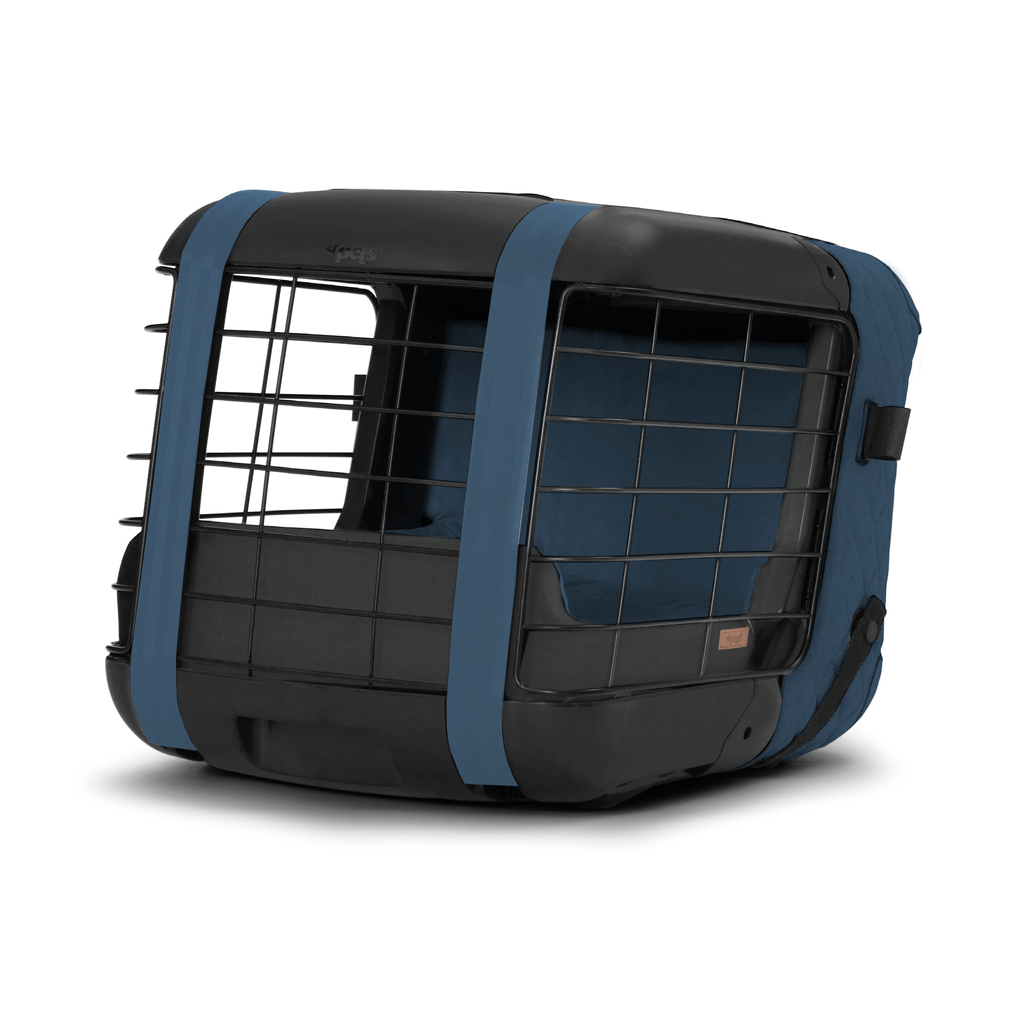 Caree «Captains Blue» Special Edition