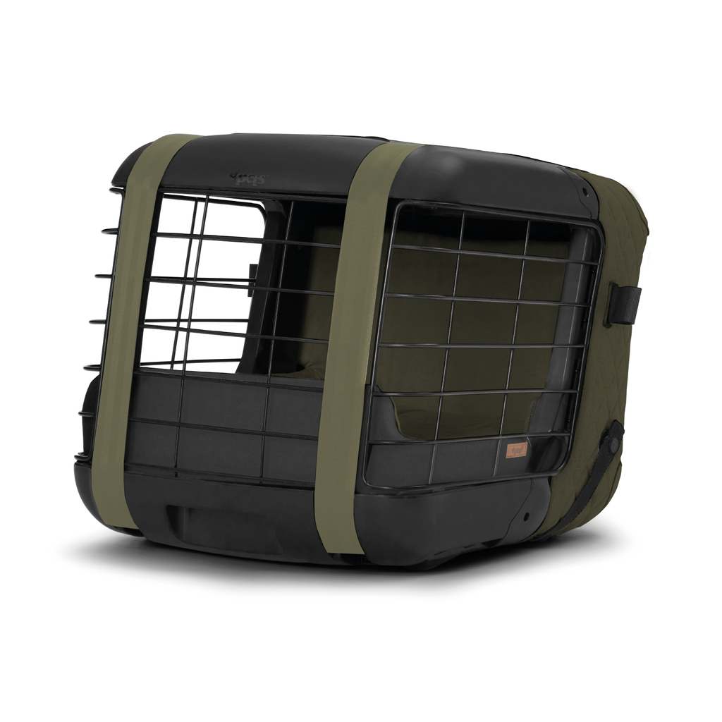 Caree «Capulet Olive» Special Edition