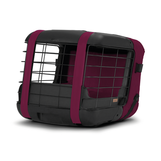 Caree «Dry Rose» Special Edition