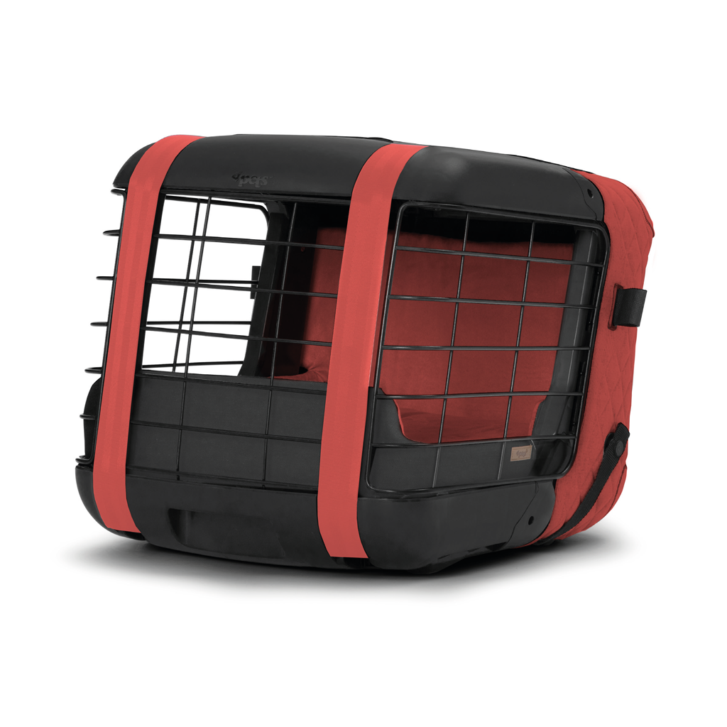 Caree «Hot Coral» Special Edition