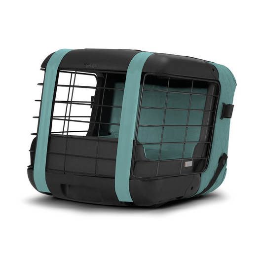 Caree «Pool Blue» Special Edition