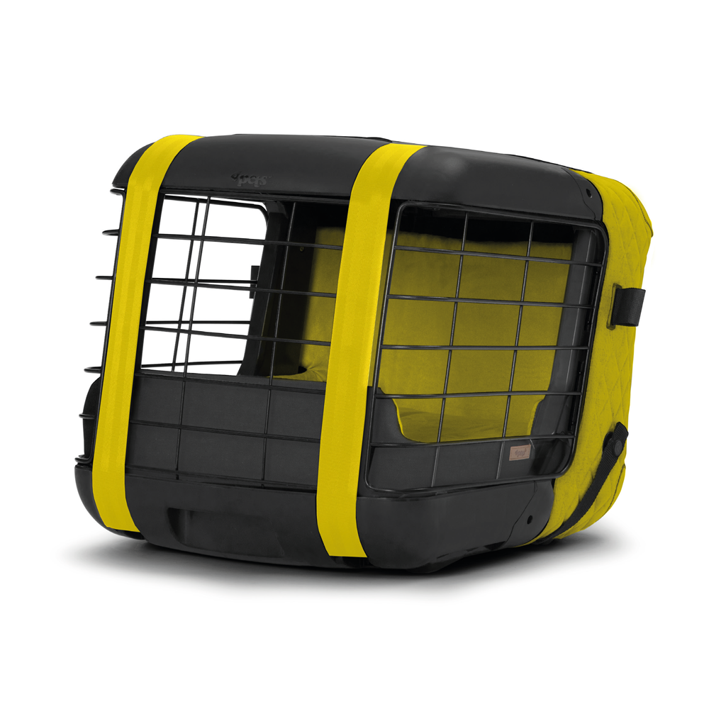 Caree «Vibrant Yellow» Special Edition