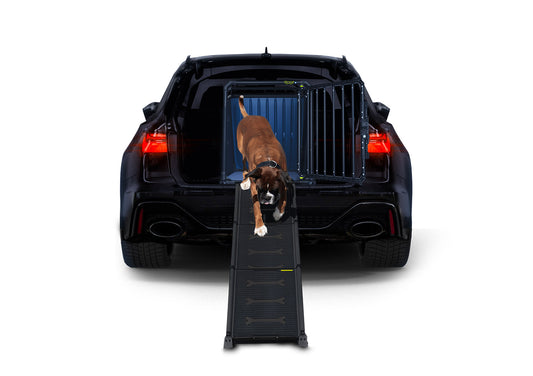 Beispiel der Verwendung der Easysteps