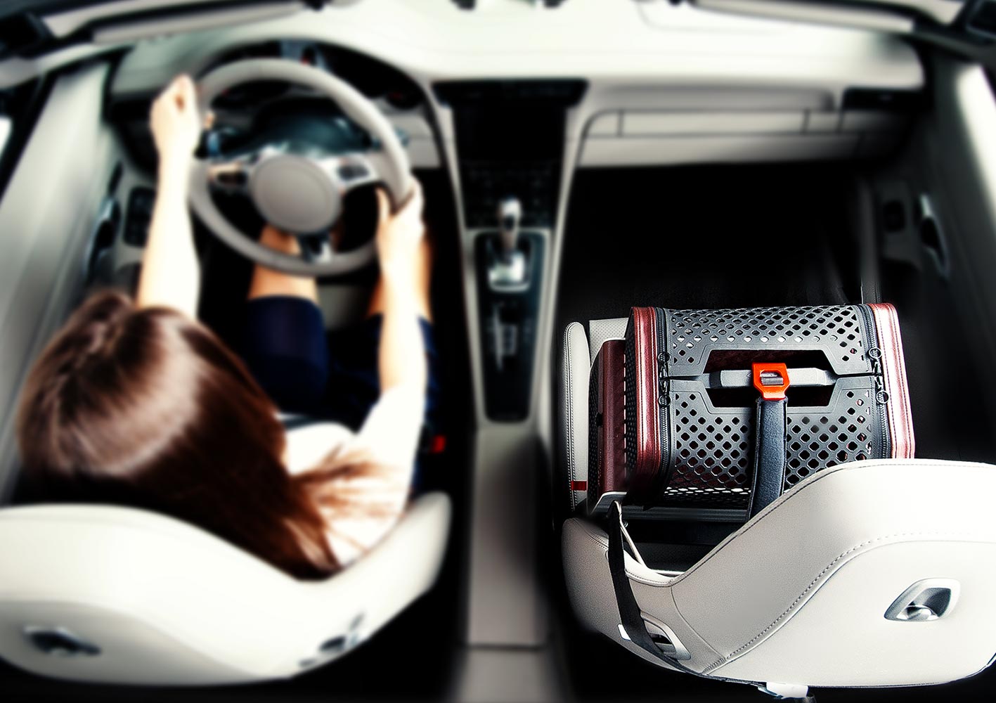 Penthouse Casablanca